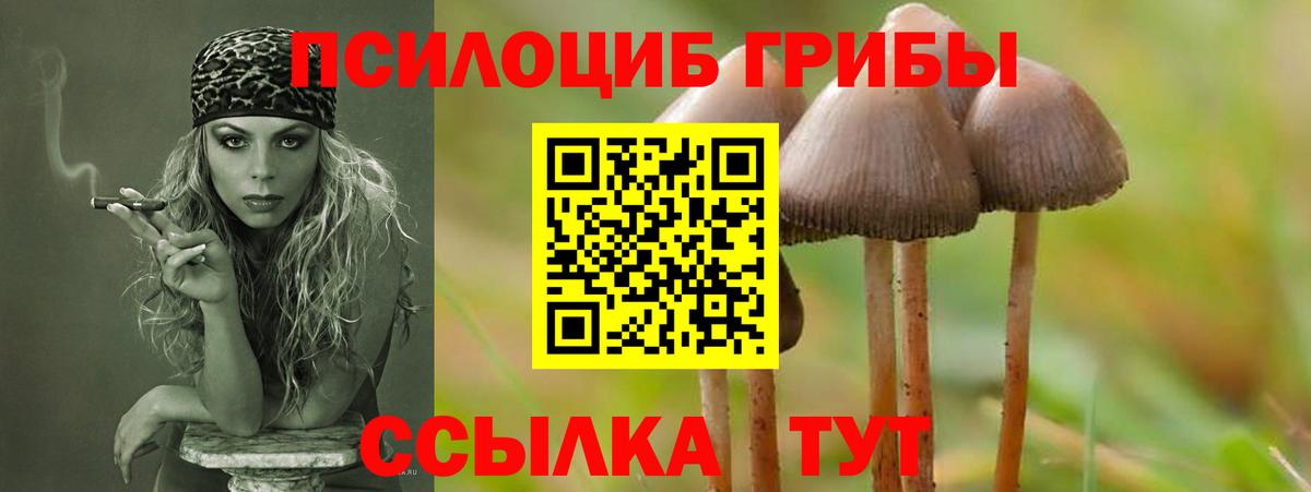 Галлюциногенные грибы GOLDEN TEACHER  Вход с VPN  Тосно 